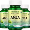 Morpheme Amla 500mg Extract 60 Veg Caps - 3 Bottles view 1