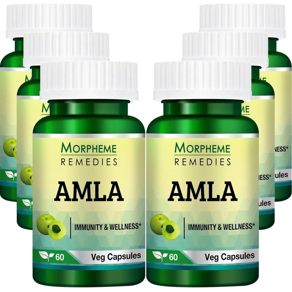 Morpheme Remedies Amla 500mg Extract 60 Veg Caps - 6 Bottles