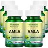 Morpheme Remedies Amla 500mg Extract 60 Veg Caps - 6 Bottles view 1