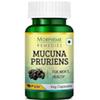 Morpheme Remedies Mucuna Pruriens (Kapikachhu) 500mg Extract - 60 Veg Caps - 3 Bottles view 2