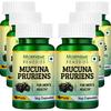 Morpheme Remedies Mucuna Pruriens (Kapikachhu) 500mg Extract - 60 Veg Caps - 6 Bottles view 1
