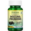 Morpheme Remedies Mucuna Pruriens (Kapikachhu) 500mg Extract - 60 Veg Caps - 6 Bottles view 2