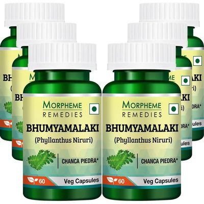Morpheme Remedies Phyllanthus Niruri (Bhumyamlaki) 500mg Extract - 60 Veg Caps - 6 Bottles