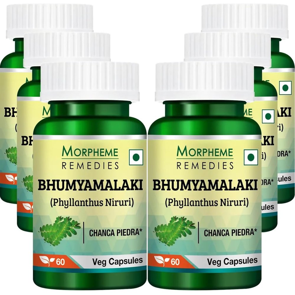 Morpheme Remedies Phyllanthus Niruri (Bhumyamlaki) 500mg Extract - 60 Veg Caps - 6 Bottles
