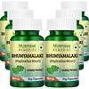 Morpheme Remedies Phyllanthus Niruri (Bhumyamlaki) 500mg Extract - 60 Veg Caps - 6 Bottles view 1