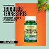 Morpheme Remedies Tribulus Terrestris 500 mg - 60 Veg Capsules view 4