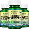 Morpheme Remedies Tribulus Terrestris 500mg Extract - 60 Veg Caps - 3 Bottles view 1