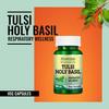 Morpheme Remedies Tulsi Holy Basil 500 mg - 60 Veg Capsules view 4