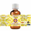 Deve Herbes Pure Moringa Oil (Moringa oleifera) | Cold Pressed | Natural | Undiluted | For Diluting Essential Oils | For Skin & Massage | Men & Women | 50ml view 2