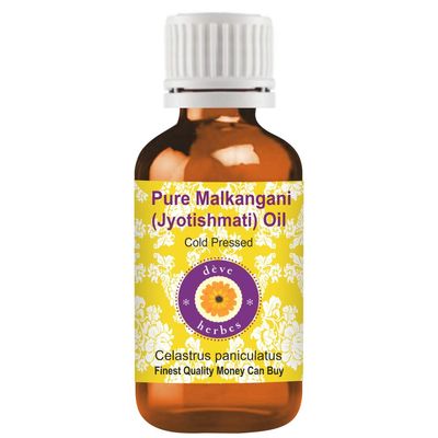 Deve Herbes Pure Malkangani (Jyotishmati) Oil (Celastrus paniculatus) | Cold Pressed | Brain & Memory Support | Natural | Undiluted | For Diluting Essential Oils | Skin & Massage | Unisex | 100ml