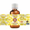 Deve Herbes Pure Black Currant Oil (Ribes nigrum) | Cold Pressed | Natural | Undiluted | For Diluting Essential Oils | For Skin & Massage | Men & Women | 15ml view 2