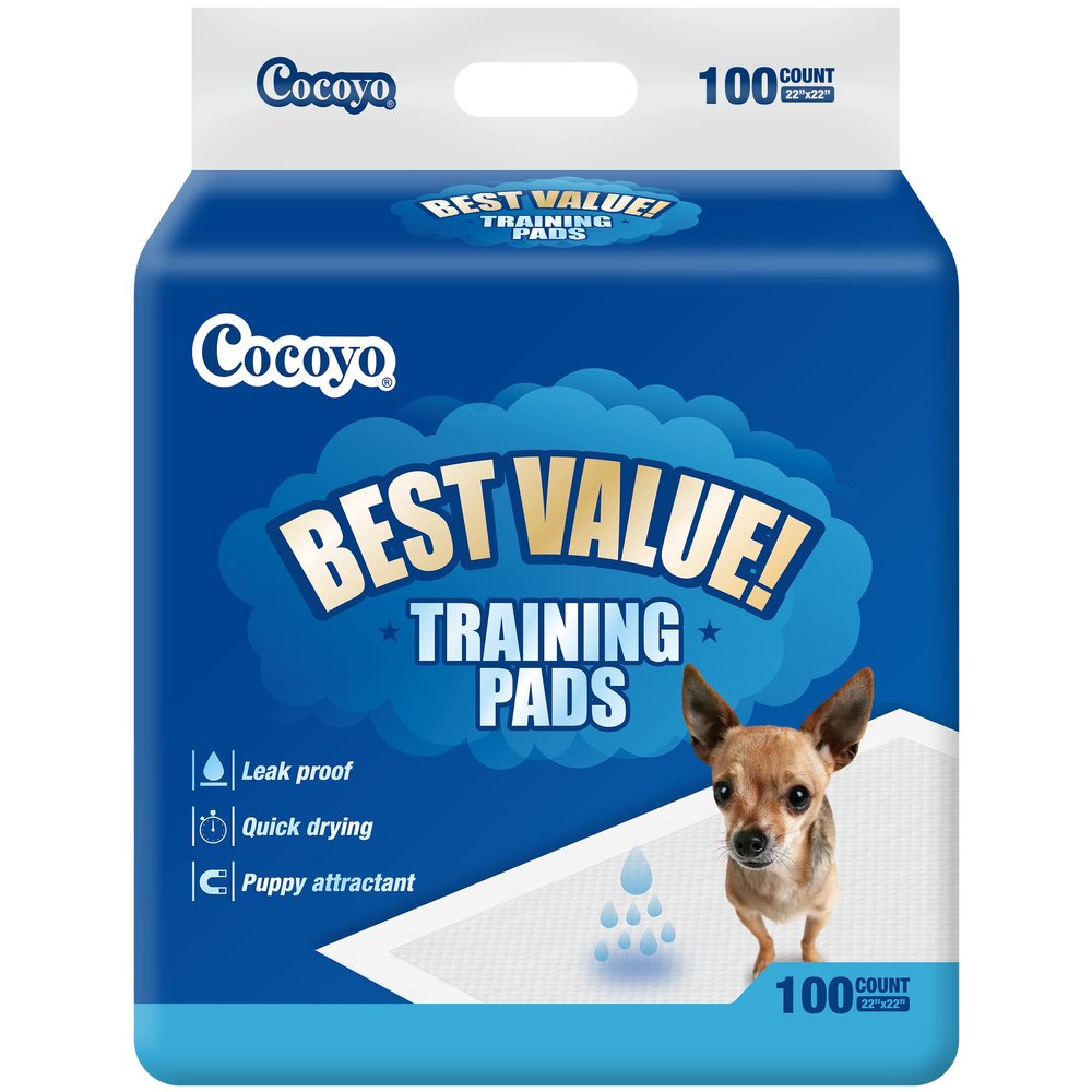 All-Absorb Basic Training Pads, 100Count, 56Cm X