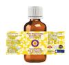 Deve Herbes Nagarmotha Essential Oil (Cyperus scariosus) Pure | Non-Sticky | Non-greasy | Lightweight | Men & Women | All Skin Types | Steam Distilled 5ml view 2