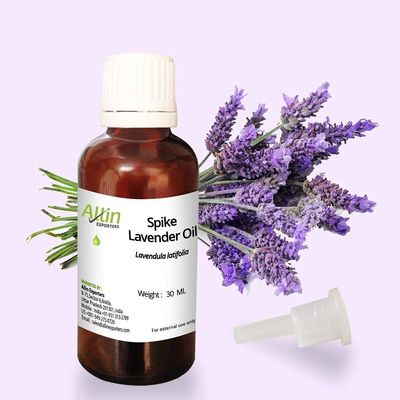 Allin Exporters Spike Lavender Oil - 100% Natural, Undiluted - 30 ML
