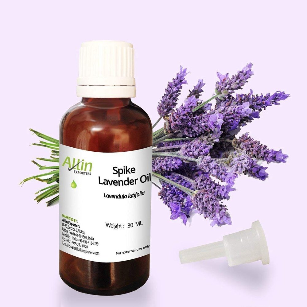 Allin Exporters Spike Lavender Oil - 100% Natural, Undiluted - 30 ML
