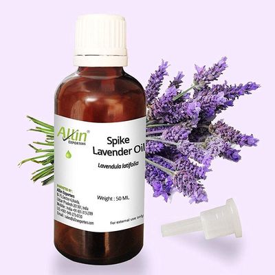Allin Exporters Spike Lavender Oil - 100% Natural, Undiluted - 50 ML
