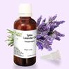 Allin Exporters Spike Lavender Oil - 100% Natural, Undiluted - 50 ML view 1