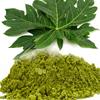 Neotea Papaya Leaf Powder | Supports Healthy Blood Platelets & Digestion | Herbal Supplement for Normal Sugar Levels | Antioxidant & Skin Rejuvenation | Organic, Non-GMO, Vegan | Dried from Fresh Green Leaves | Tea & Juice Extract 300 GM view 3