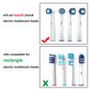 LazyMe Plastic Toothbrush Holder For Oral-B Brush Protection Cover For Traveling- Cover Only By Lazyme, Multi-coloured, Pack of 3 view 3