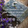 Autumn Wreath Fragrance Oil - Premium Grade Scented Oil - 30ml view 2