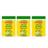 Baidyanath Amlaki Churna - 100 g (Pack of 3) view 1