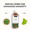 Kapiva Wild Tulsi Giloy Juice | Fresh Tulsi and Neem-grown Giloy to Support Immune Health view 3