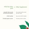 Kapiva Wild Tulsi Giloy Juice | Fresh Tulsi and Neem-grown Giloy to Support Immune Health view 4