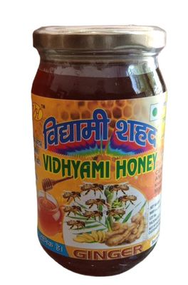 VIDYAMI Natural Ginger Raw Honey | Unprocessed & Unheated, 100% Pure & Organic Ginger Flower Honey | Anti-Inflammatory, Digestive Aid, Cold & Flu Relief | (500 gms (Glass Jar))
