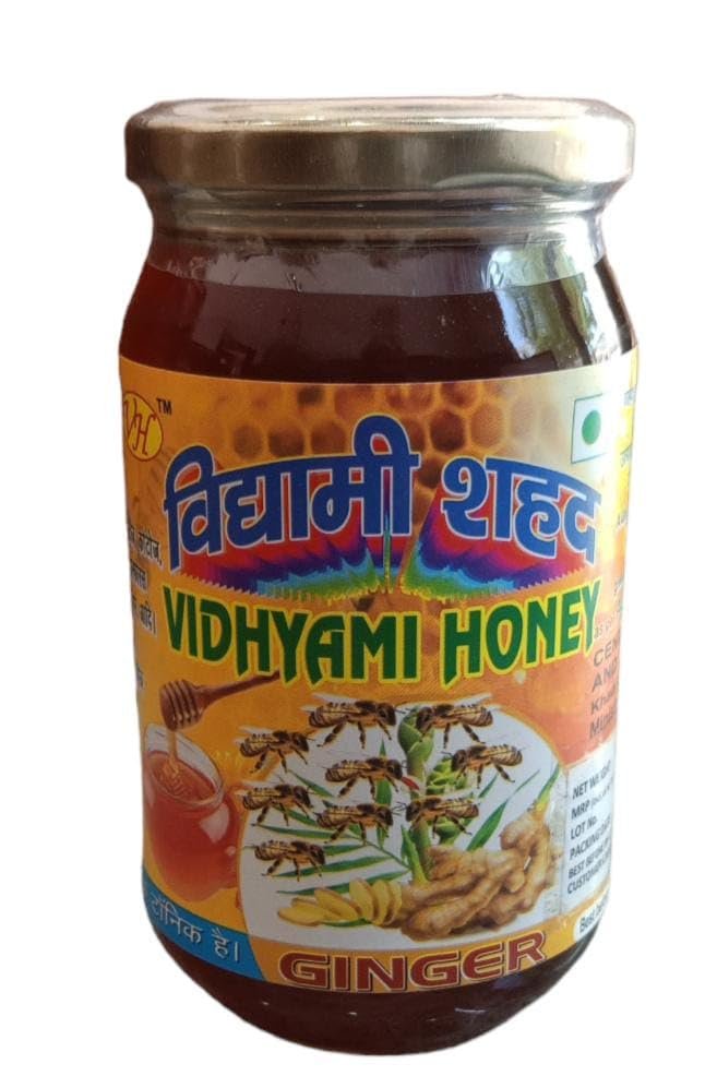 VIDYAMI Natural Ginger Raw Honey | Unprocessed & Unheated, 100% Pure & Organic Ginger Flower Honey | Anti-Inflammatory, Digestive Aid, Cold & Flu Relief | (500 gms (Glass Jar))