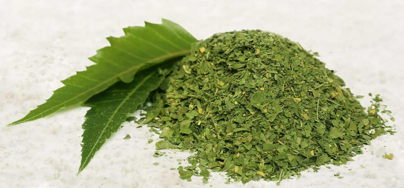 NEERAJ - Neem Powder - Organic Leaves powder - Azadirachta Indica - Neem Leaf for Hair and Skin Care - 800 Gm