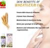 AOS Products 100% Pure and Natural Wheat germ Oil - Suitable for All Skin Types Pure Oil, Use for Hair Care, Skin Care - 500 ml view 3