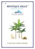 Mystique Hills Organic Banana Plantain Stem Powder,200 g view 1