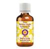 Deve Herbes Mace Essential Oil (Myristica fragrans) Pure | Non-Sticky | Non-greasy | Lightweight | Men & Women | All Skin Types | Steam Distilled 15ml view 1