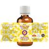 Deve Herbes Mace Essential Oil (Myristica fragrans) Pure | Non-Sticky | Non-greasy | Lightweight | Men & Women | All Skin Types | Steam Distilled 15ml view 2