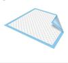Deluxe Disposable Underpads Sheet 60 X 90Cms (10's) view 4