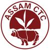Old Harbor Premium Assam CTC Tea 500gm pack| Estate Origin- Assam| kadak chai | Stroong,Refreshing & Aromatic view 3