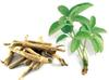 Ashwagandha Powder - (Pack Of 3,100 Grams) "COMBO DEAL" view 3