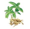 Ashwagandha Capsules - (Pack of 3) 60 Capsules view 4