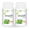 JAIN Amla Capsules (Pack of 2), Grey, 120 count view 1