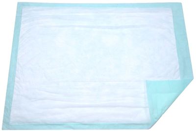 Extra Large Disposable Incontinence Bed Pad 10 Count (Size 36Wx36L) - Underpad Incontinence Protection for Adult, Child, or Pets - Absorbent Waterproof Chux by BrightCare