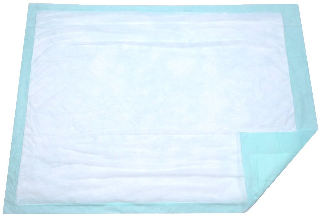 Extra Large Disposable Incontinence Bed Pad 10 Count (Size 36Wx36L) - Underpad Incontinence Protection for Adult, Child, or Pets - Absorbent Waterproof Chux by BrightCare