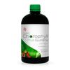 Proyoung Liquid Chlorophyll - Plus Guarana Seed Extract - 30Mg - 500Ml view 1
