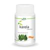 Jain Karela Capsules| for Healthy Sugar Levels,Blood Purifier | 100% Natural extracts 60 Tablets(Pack of 2) view 2