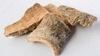 NEERAJ - Varuna Powder|Crataeva Nurvala Powder|Barna Powder|Lengam Tree Powder|400 Gm view 3