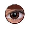 ColorVue BigEyes Quarterly Conatct Lens - 2 Units (Pretty Hazel) view 1