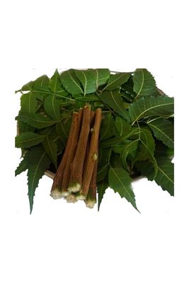 Alekip- New Organic Neem Chew Sticks Datun Quality Assured - 10 Sticks