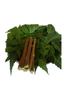 Alekip- New Organic Neem Chew Sticks Datun Quality Assured - 10 Sticks view 1
