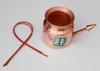 KannsSky Made of Pure Copper Food Grade Copper Jala Neti Pot (500 ml) with Neti Sutra, 2 Set view 4