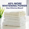 NaturalCare 100% Natural Oxy Bleach Powder - 500 Gms (Chlorine Free) view 3
