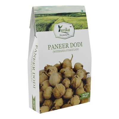 YUVIKA Paneer Dodi - Paneer Ke Phool - Withania Coagulan 250 Grams